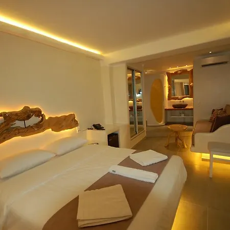 كونستانتينا زورز زيداكيس 3* Mykonos Town